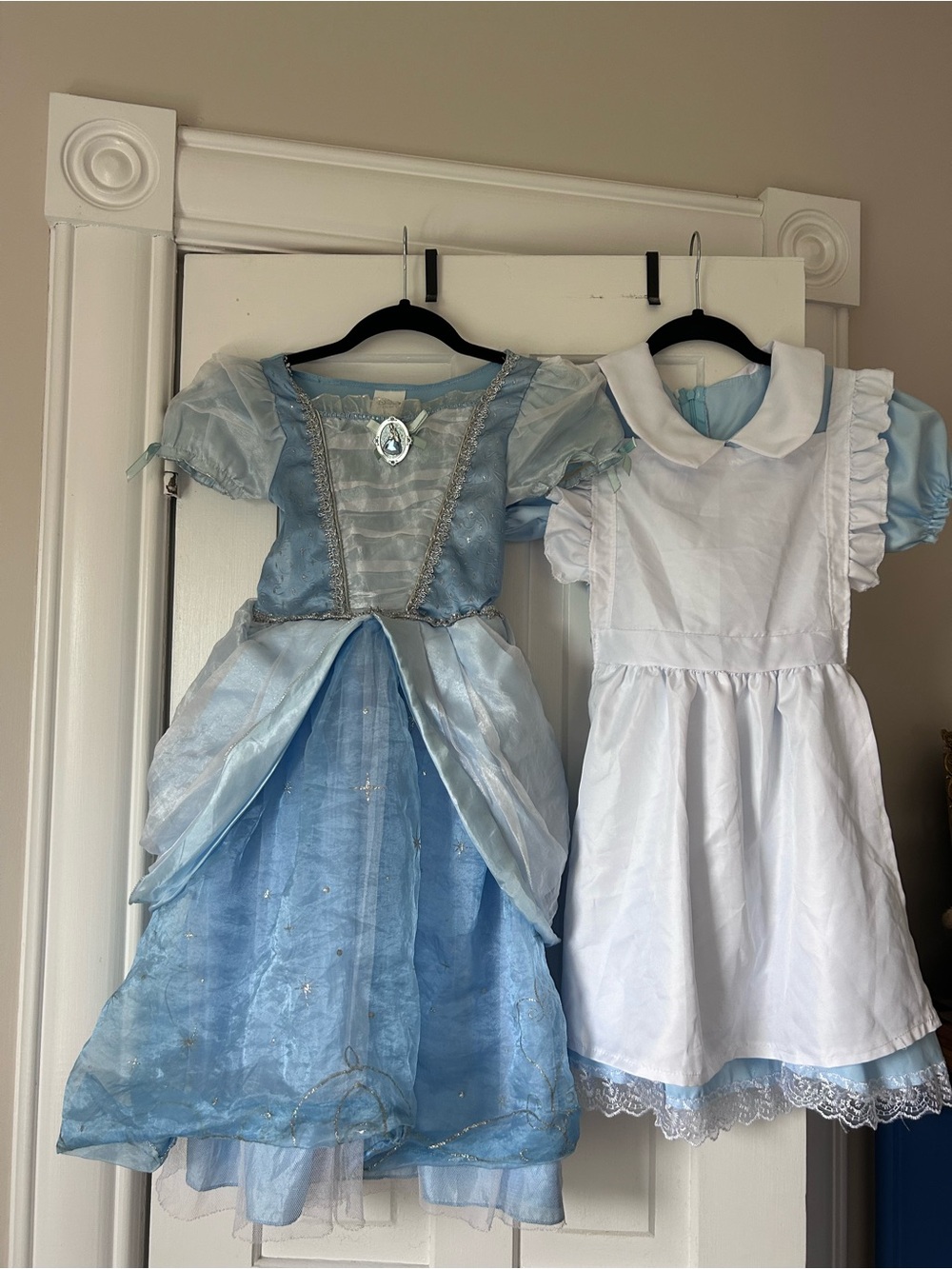 Cinderella & Alice in Wonderland Costume